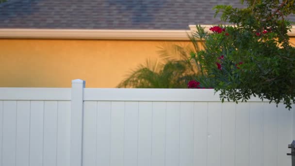 フロリダの裏庭のビニール板フェンス 敷地保護とプライバシーのための白いプラスチックフェンシング — ストック動画