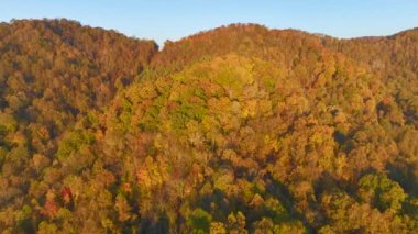 Kuzey Carolina 'daki Appalachian dağlarının ağaçlı tepelerinde sonbahar mevsiminde yemyeşil orman ağaçları vardı. Sonbahar doğasının güzelliği.
