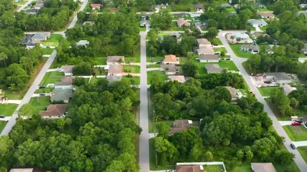 Widok Lotu Ptaka Podmiejskie Domy Prywatne Między Zielonymi Palmami Florydzie — Wideo stockowe
