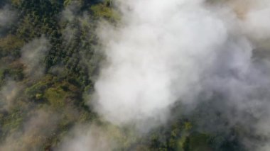 Aerial view from above of morning fog over green wooded landscape. High humidity causing air condensing in mist over land.