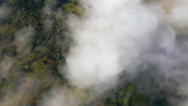Aerial View Morning Fog Green Wooded Landscape High Humidity Causing — Vídeos de Stock