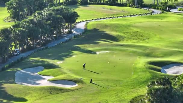 Joueur Golf Professionnel Pratiquant Sur Terrain Golf Floride Ensoleillée Activités — Video
