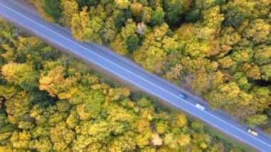 Gün batımında renkli ormanlar arasındaki kır yolunun yukarısından bak. Güneşli bir gecede, sonbahar ormanında sarı ve turuncu gölgeliklerle çevrili dar bir yol. Sonbaharda vahşi doğanın manzarası.