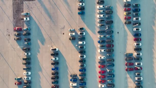 Vue Dessus Concessionnaires Parking Extérieur Avec Nombreuses Voitures Neuves Stock — Video