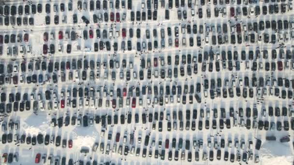 冬の車市場や駐車場を歩く販売や顧客のために駐車多くの車の空中ビュー — ストック動画