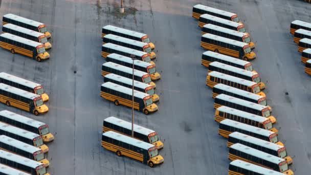 Вид Воздуха Многие Школьные Автобусы Припаркованные Окружной Парковке Сша Транспорт — стоковое видео