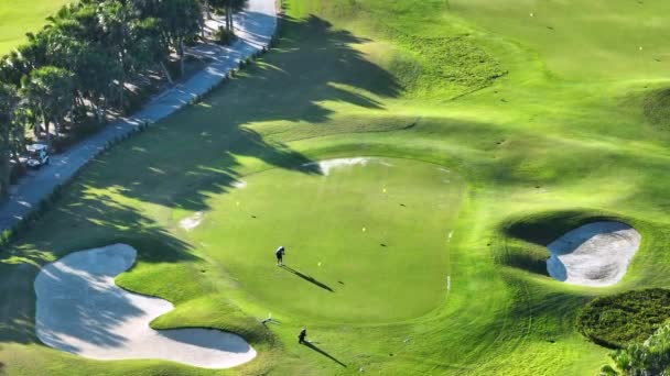 Friluftsliv För Rika Människor Professionell Golfspelare Tränar Golfbana Soliga Florida — Stockvideo