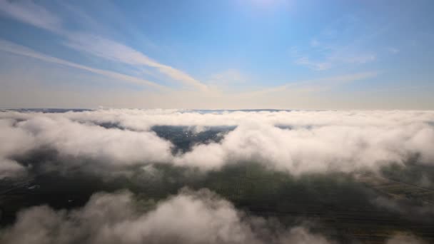 パフィーな朝の霧に覆われた風景の上からのトップビュー 雨雲の中で冷たい湿気のある空気凝縮 — ストック動画