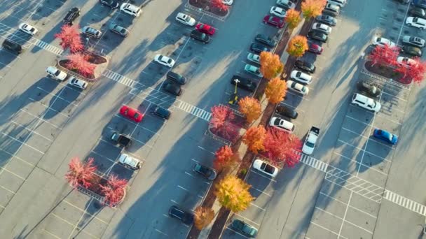 Bir Alışveriş Merkezinin Önündeki Otoparkta Park Edilmiş Birçok Arabanın Üst — Stok video