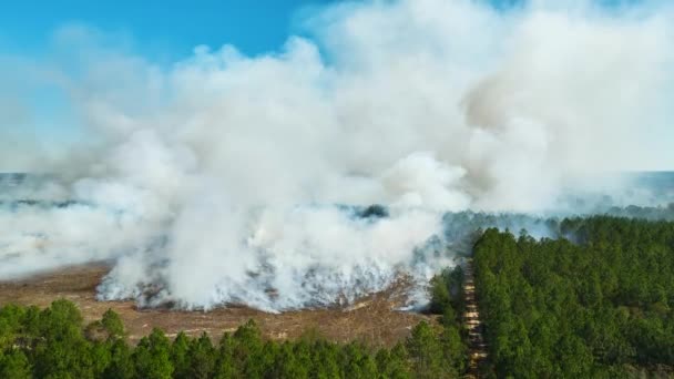 大気汚染の上昇に火の上に森林やフィールドから高密度の煙の上から表示します 自然災害の概念 — ストック動画