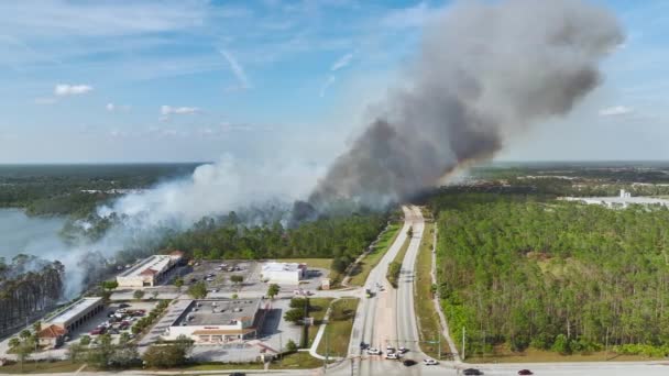Wildfire Silně Hoří Během Suché Zimní Sezóny North Port City — Stock video