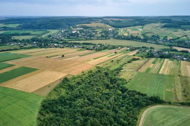 Yeşil ve sarı ekili tarlaların hava manzarası. Parlak yaz gününde ekinlerin büyüdüğü tarlalar..