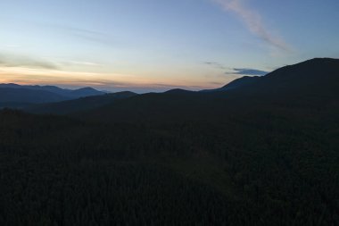 Gün batımında dağ tepelerini kaplayan koyu ladin ağaçlı yeşil çam ormanlarının hava manzarası. Yukarıdan orman manzarası yok.
