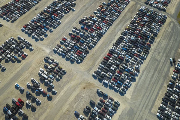 Kazadan sonra park halindeki ikinci el arabaların satışa hazır olduğu büyük otoparkın manzarası. Açık arttırma reseker şirketi tamir için ikinci el bozuk araçlar satıyor..