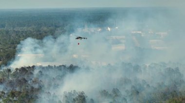 Florida orman ormanlarında yangın söndüren itfaiye helikopterinin hava görüntüsü. Acil servis helikopteri ormanda yangın çıkarmaya çalışıyor..