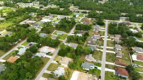 フロリダ州静かな住宅街の緑のヤシの木の間の民家と郊外の風景の空中ビュー — ストック動画