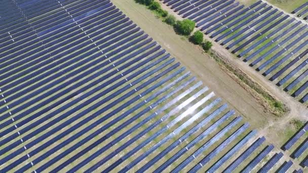 Возобновляемое Электричество Нулевым Выбросом Устойчивая Электростанция Многими Рядами Солнечных Фотоэлектрических — стоковое видео