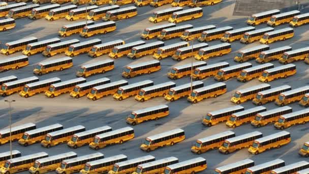 Okul Otobüsleri Amerika Yaz Tatilleri Sırasında Bölge Otoparkına Park Ettiler — Stok video