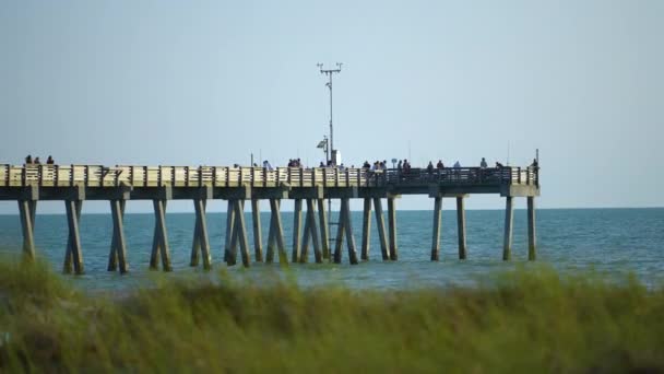游客们享受假期 渔民们在佛罗里达州的威尼斯渔港钓鱼 海滨夏季活动 — 图库视频影像