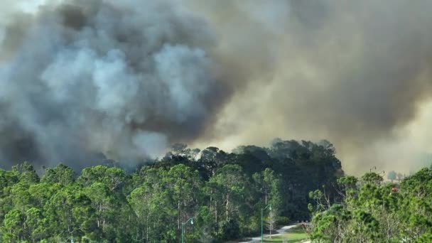 Vista Aérea Grandes Incendios Forestales Que Arden Severamente Los Bosques — Vídeo de stock
