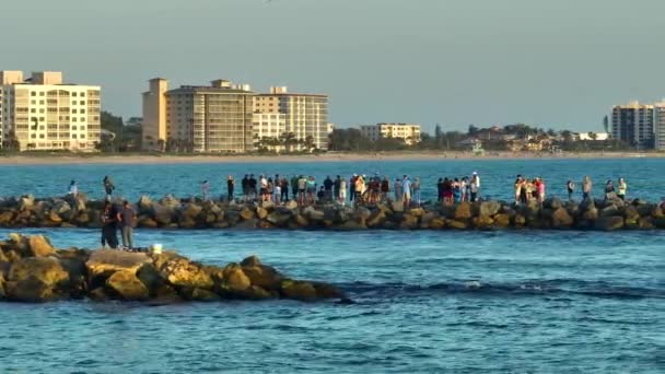 Вид Воздуха Множество Туристов Наслаждающихся Отдыхом Причале Венеции Морские Развлечения — стоковое видео