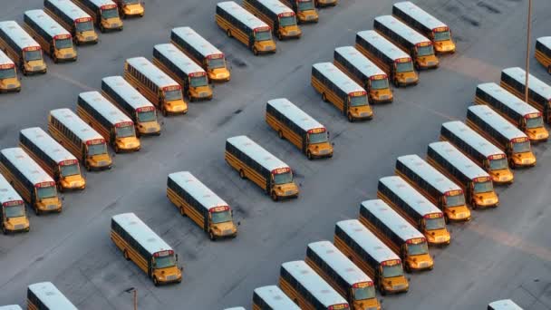 School Bussen Geparkeerd District Parkeerplaats Tijdens Zomervakantie Amerikaans Onderwijs Systeem — Stockvideo