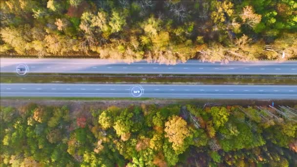秋の森の間の高速移動の自律的なトラフィックと忙しいアメリカの高速道路で自動運転車の上からの眺め 国際輸送の概念の将来 — ストック動画