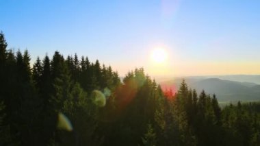 İnanılmaz dağ manzarasının havadan görünüşü. Vahşi Ulusal Park Dağları 'nda parlak renkli gün batımı. Sarı batan güneşle aydınlatılmış koyu ladin ormanları..