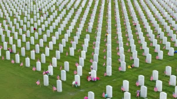 Sarasota Ulusal Mezarlığı Nın Yeşil Çimlerde Sıralanmış Beyaz Mezar Taşlarıyla — Stok video