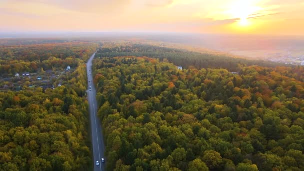 Vista Aérea Carretera Rural Entre Exuberante Bosque Con Toldos Colores — Vídeos de Stock