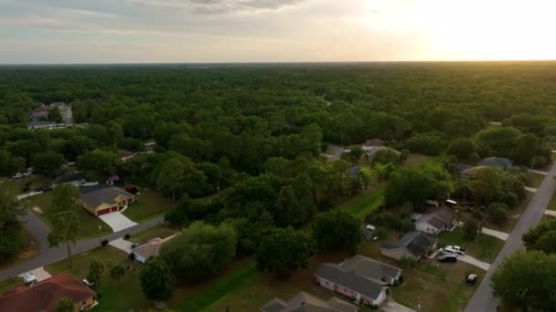弗罗里达州宁静住宅区的郊区景观与绿树之间的私人住宅的空中景观 — 图库视频影像