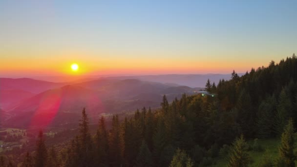 ドローンは素晴らしい山の風景を飛んでいる ワイルドな国立公園の高地で明るいカラフルな日没のビデオを撮るクワッドコプター 黄色の設定太陽で照らされたダークスプルースの森 — ストック動画