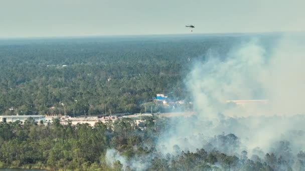 佛罗里达州丛林中 消防部门的斩草机扑灭野火 紧急救援直升机试图扑灭森林中的大火 浓烟升起 — 图库视频影像