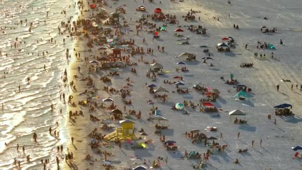 High Angle View Crowded Siesta Key Beach Sarasota Usa Many — Stock video