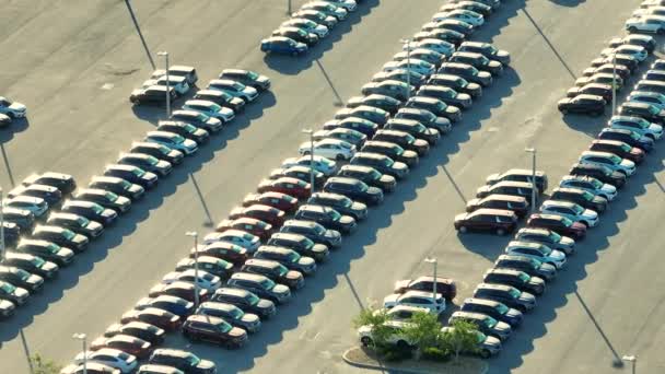 Vista Dall Alto Concessionari Parcheggio All Aperto Con Molte Auto — Video Stock