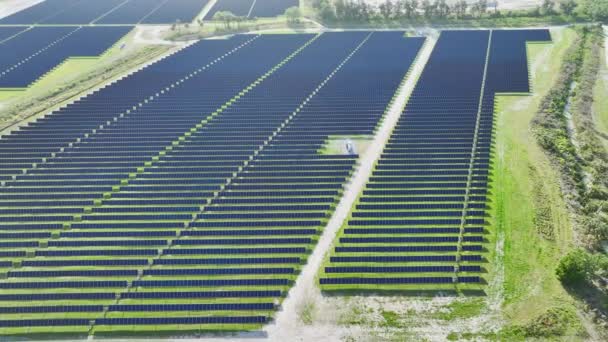 Widok Góry Elektrowni Fotowoltaicznej Wieloma Rzędami Paneli Słonecznych Produkcji Czystej — Wideo stockowe