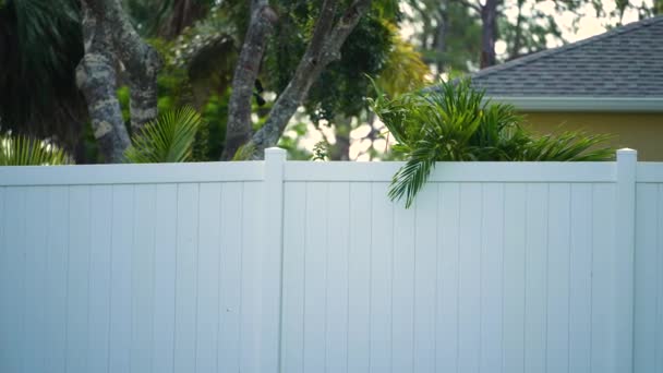 Вінілова Дошка Паркану Задньому Дворі Флориди Біле Пластикове Огорожа Захисту — стокове відео