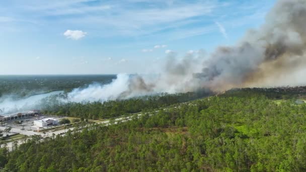 フロリダのジャングルの森の中で激しく燃える野火を消火消防車の空中ビュー 消防士が炎を森に落とそうとすると — ストック動画