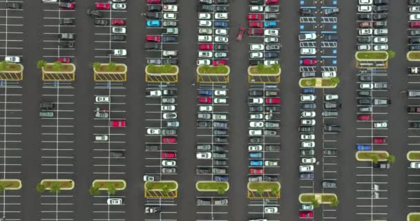 Vue Aérienne Nombreuses Voitures Stationnées Sur Parking Avec Des Lignes — Video