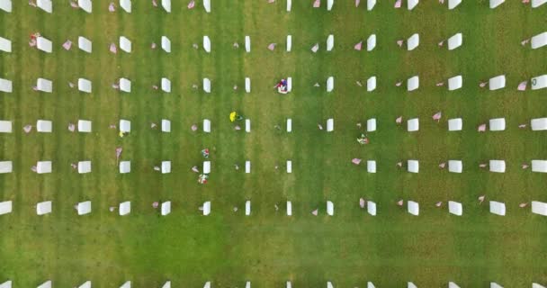 Suuri Amerikan Armeijan Kansallinen Hautausmaa Jossa Rivejä Valkoisia Hautakiviä Vihreällä — kuvapankkivideo