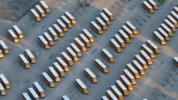 Public School Bus Parking Lot Many Yellow Buses Parked Rows — Stock Video
