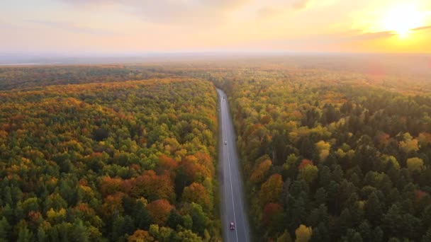 Pohled Shora Venkovské Silnice Mezi Barevnými Lesy Při Západu Slunce — Stock video