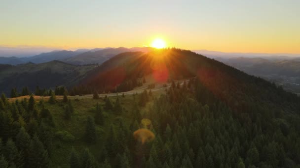 Increíble Paisaje Montaña Maderas Oscuras Abeto Iluminadas Con Sol Amarillo — Vídeos de Stock