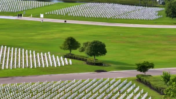 Большое Американское Военное Национальное Кладбище Рядами Белых Надгробий Зеленой Траве — стоковое видео