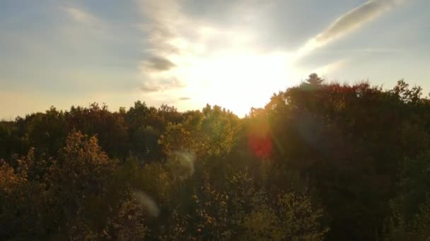Vista Desde Arriba Maderas Coloridas Atardecer Toldos Amarillos Anaranjados Bosque — Vídeo de stock