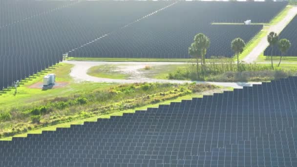 Näkymä Ylhäältä Aurinkosähkövoimalaitoksen Monia Rivejä Aurinkopaneelit Tuottaa Puhdasta Sähköenergiaa Uusiutuvan — kuvapankkivideo