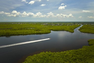 Florida Everglades 'te okyanus suları arasında yeşil bitki örtüsüyle yüzen bir motorlu teknenin görüntüsü. Bataklıktaki birçok tropikal türün doğal yaşam alanı.