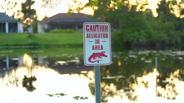 Προειδοποιητική Πινακίδα Αλιγάτορα Στο Πάρκο Της Φλόριντα Σχετικά Την Προσοχή — Αρχείο Βίντεο