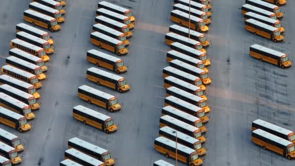 公共校车停车场 许多黄色的校车成排停放 美国教育系统的交通 — 图库视频影像