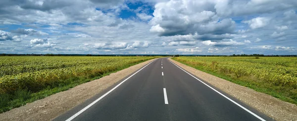 Yeşil tarım alanları arasındaki boş şehirlerarası yolun havadan görünüşü. Karayolu insansız hava aracının üst görüntüsü.